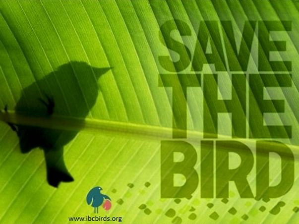 Join Us To Save Indian Native Birds