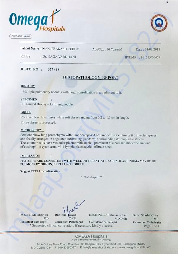 Histopathology Report