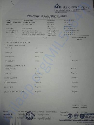 Lab Report