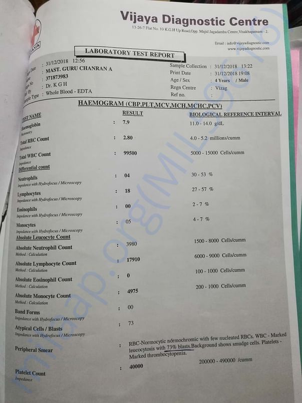 Lab Report