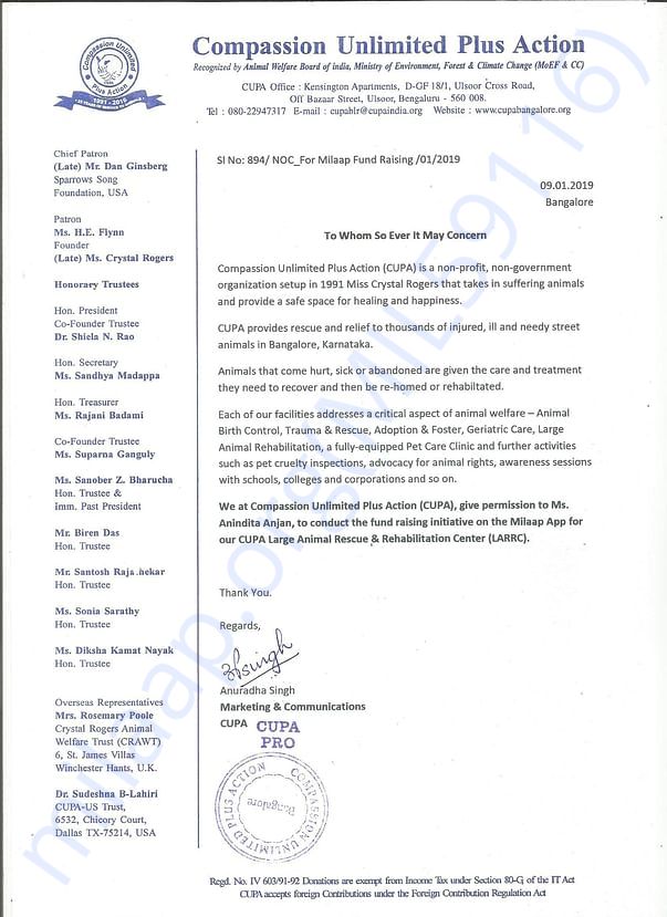 No Objection Letter
