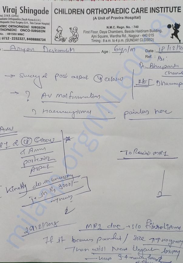 My son's report