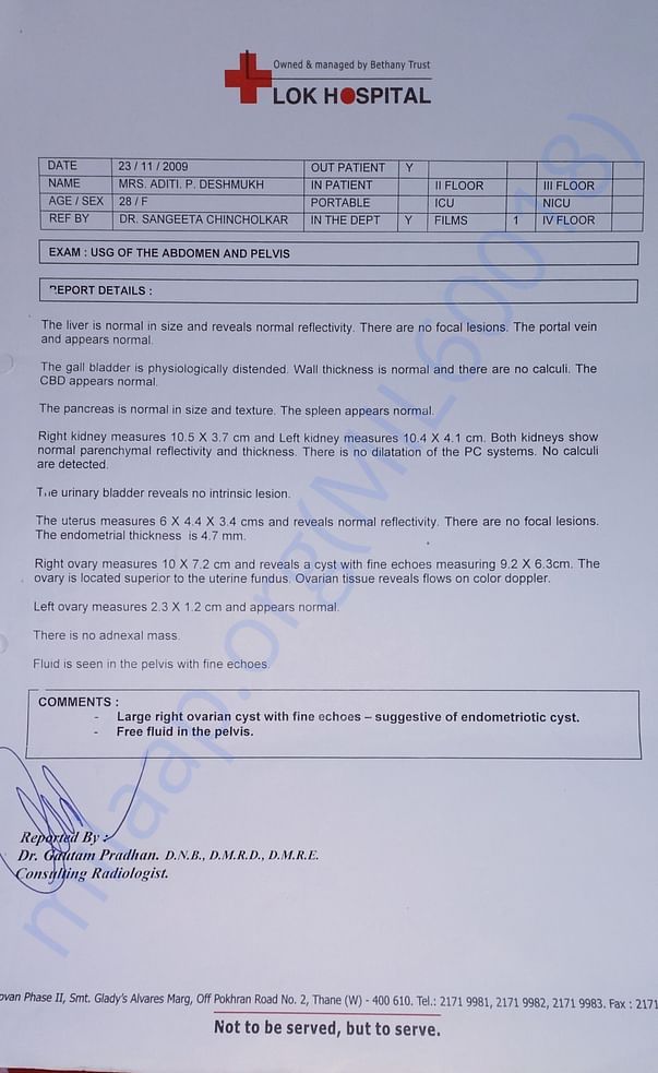 My report (2009)