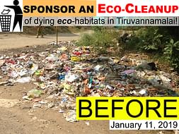 Sponsor an Eco-Cleanup of dying eco-habitats in Tiruvannamalai