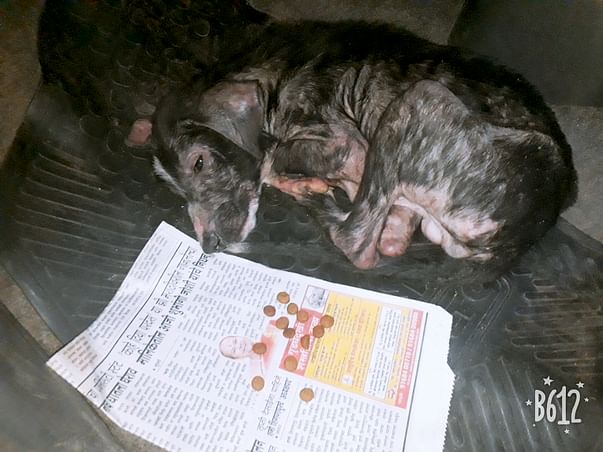 Help Him For Better Life