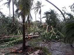 Help Us In Rehabilitating Gaja Victims