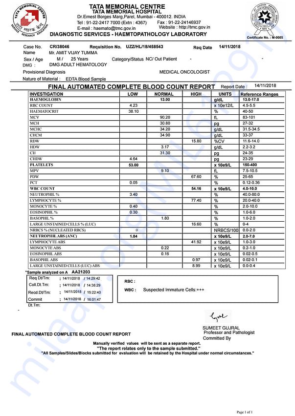 Medical Report