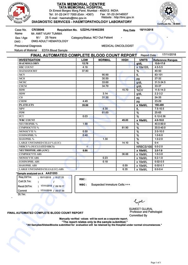 Medical Report