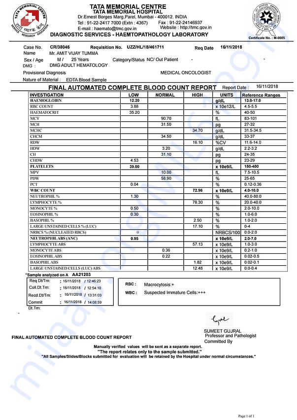 Medical Report