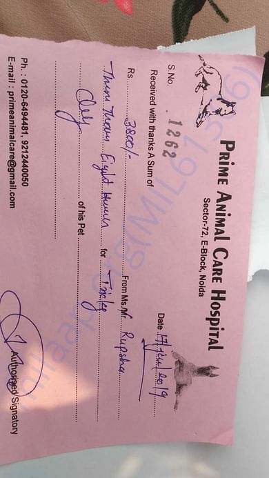 Tricky's recent medical bill for blood work done before he fly out.