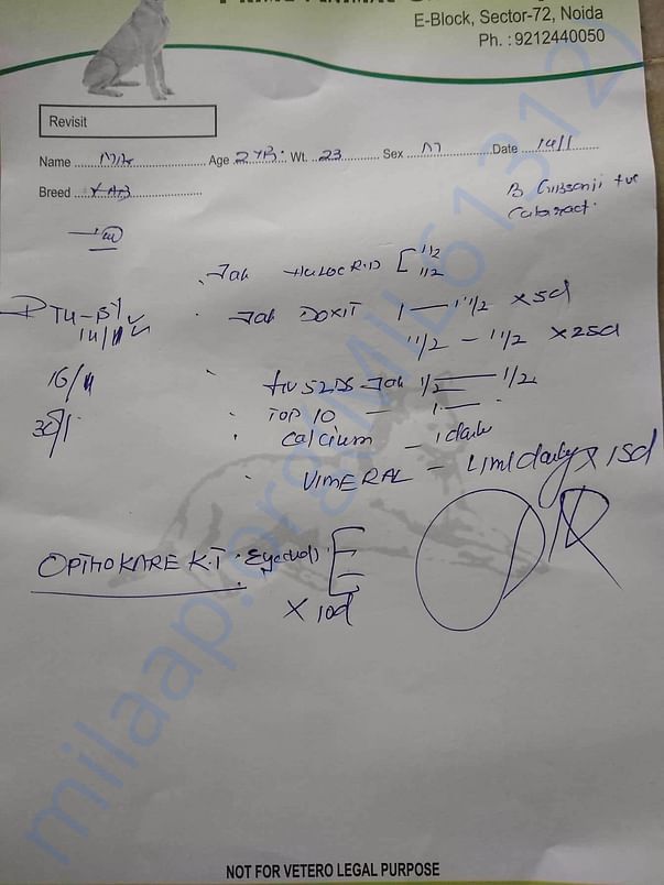 Max's Prescription Confirming Cataract