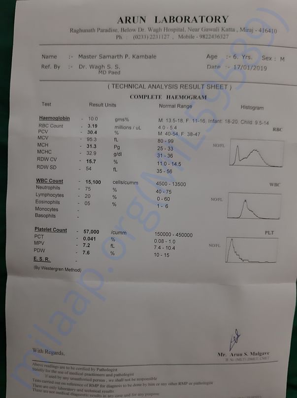 Blood report of samarth