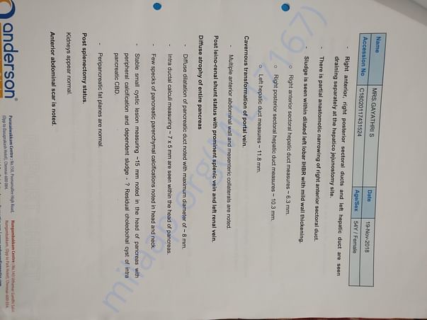 Latest Report 3