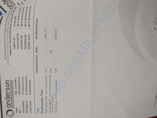 Latest Report 4