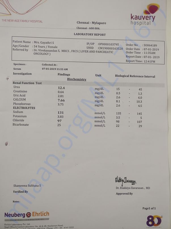 Latest Report 7