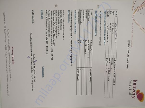 Latest Report 8