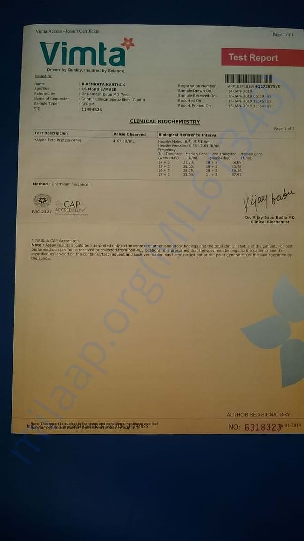 Test report