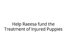 Help Raeesa fund the Treatment of Injured Puppies