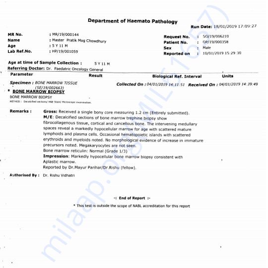 Medical Report