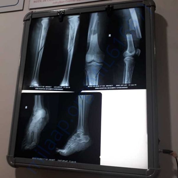 Medical Report