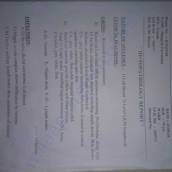 Medical Report