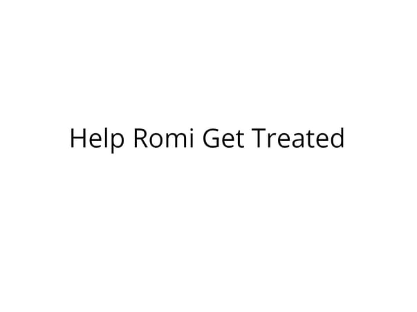 Help Romi Recover from a Brain Stroke