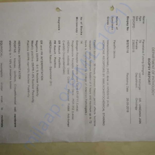 Medical Report