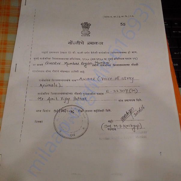 Certificate of Registration