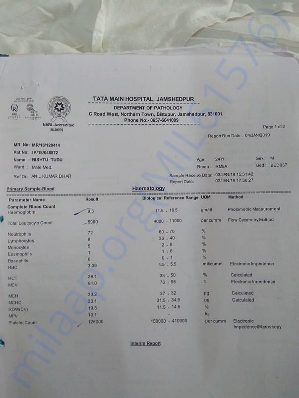 Radiology Report-1