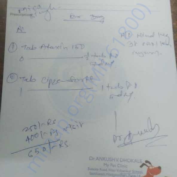 Medical Bill