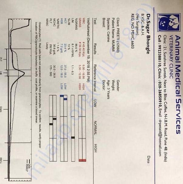 Medical Report