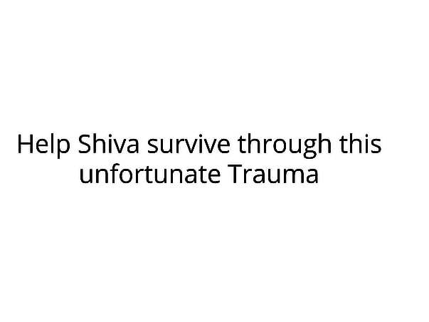 Help Shiva survive through this unfortunate Trauma