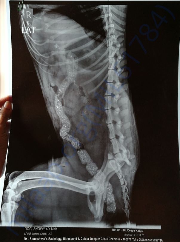 Xray