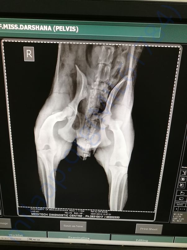 Xray 2