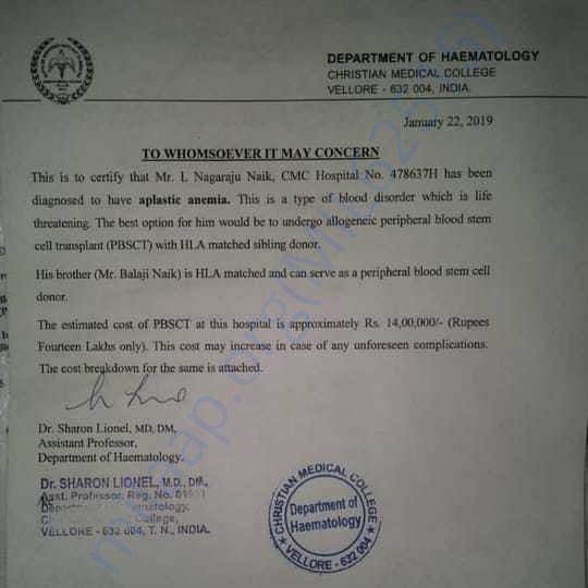 Estimation Letter