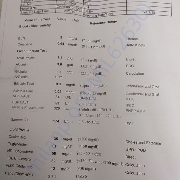 Medical Report