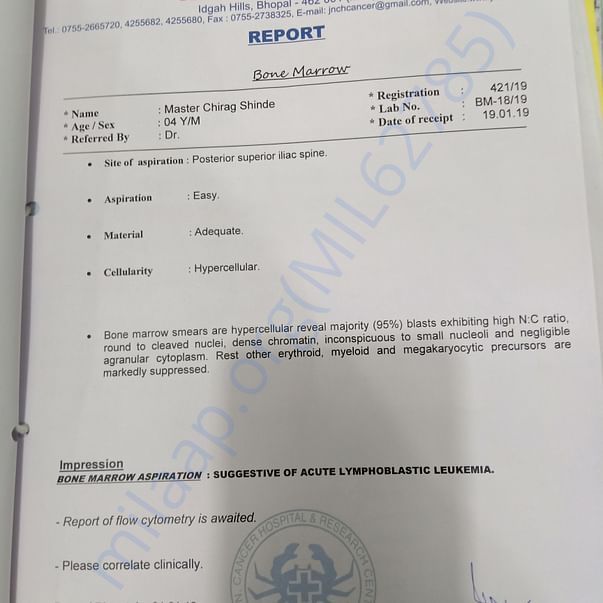 Medical Report