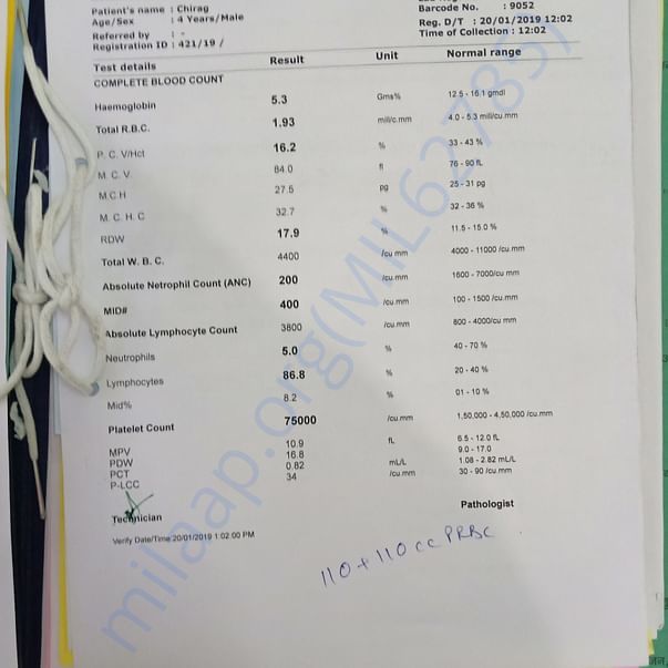 Medical Report