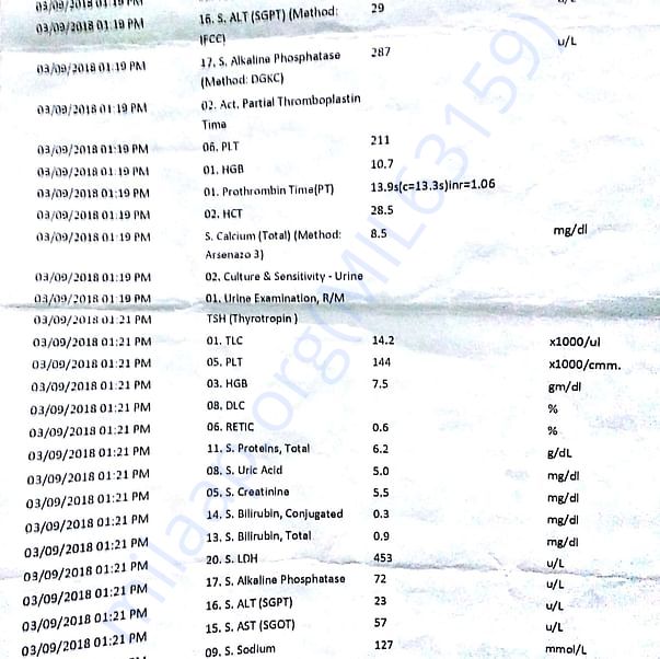 Medical Report