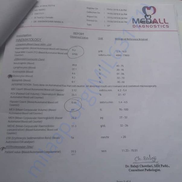 Medical Report