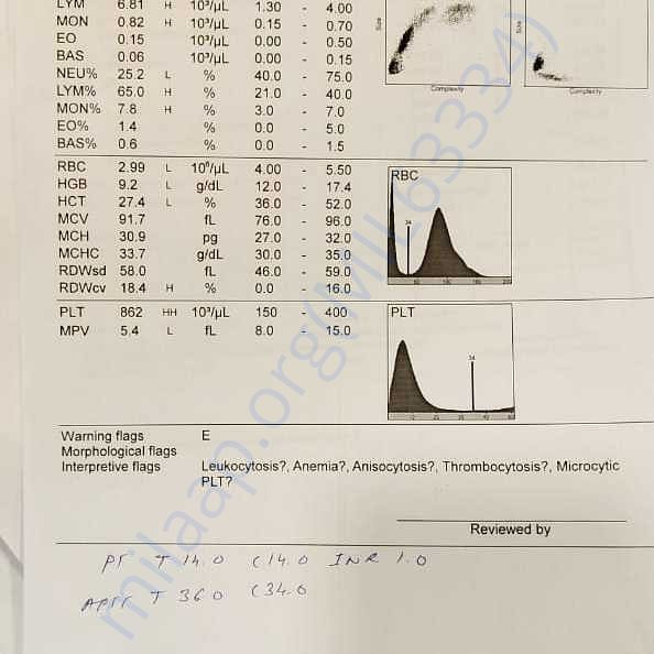 Medical Report