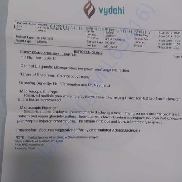 Medical Report