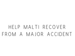 Help Malti Recover From A Major Accident