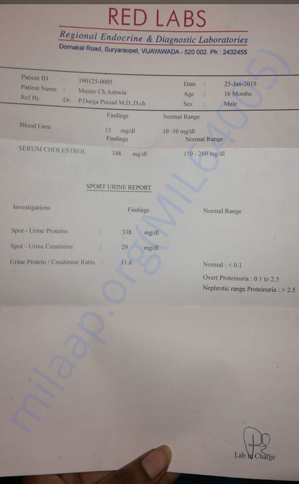 Nephrotic syndrome reports