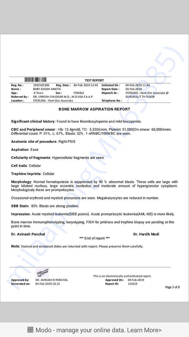 BONE MARROW REPORT