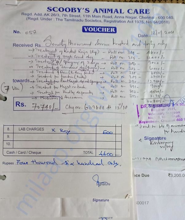 Some invoices of our work: Invoice 1