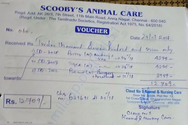 Invoice 3