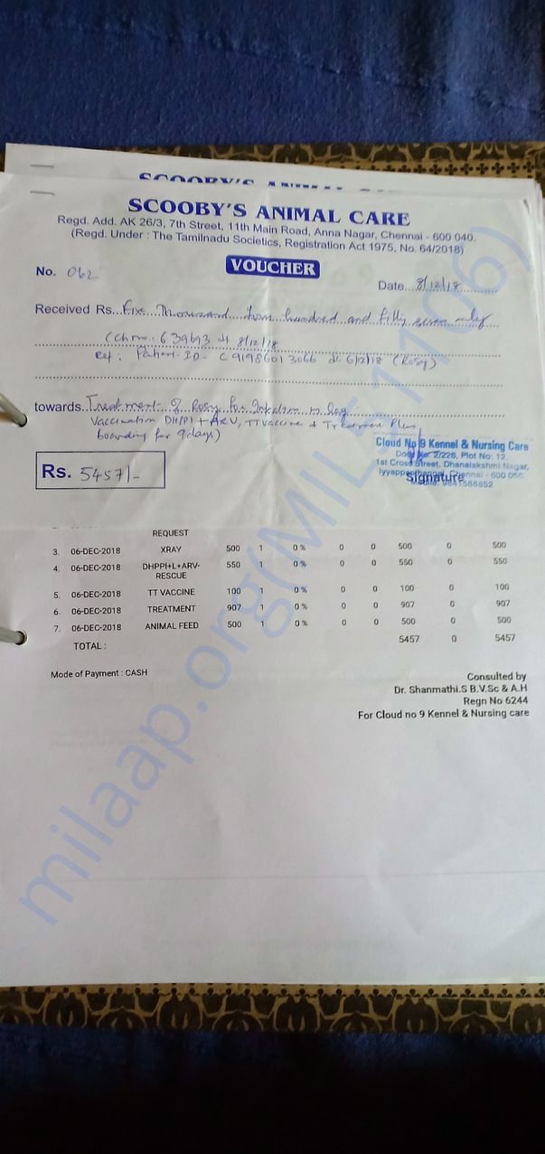 Invoice 5