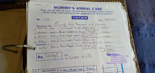 Invoice 6