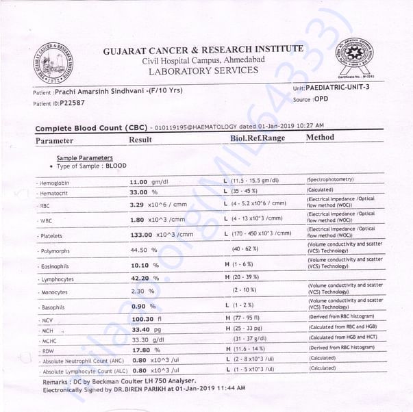 Medical Report
